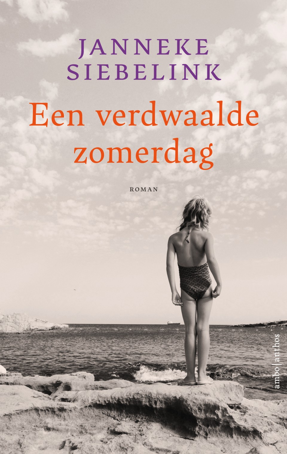 Een verdwaalde zomerdag - Janneke Siebelink
