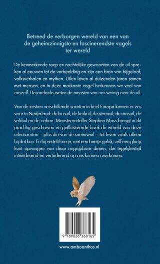 De uil - achterkant
