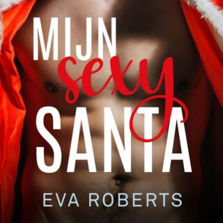 Mijn sexy santa