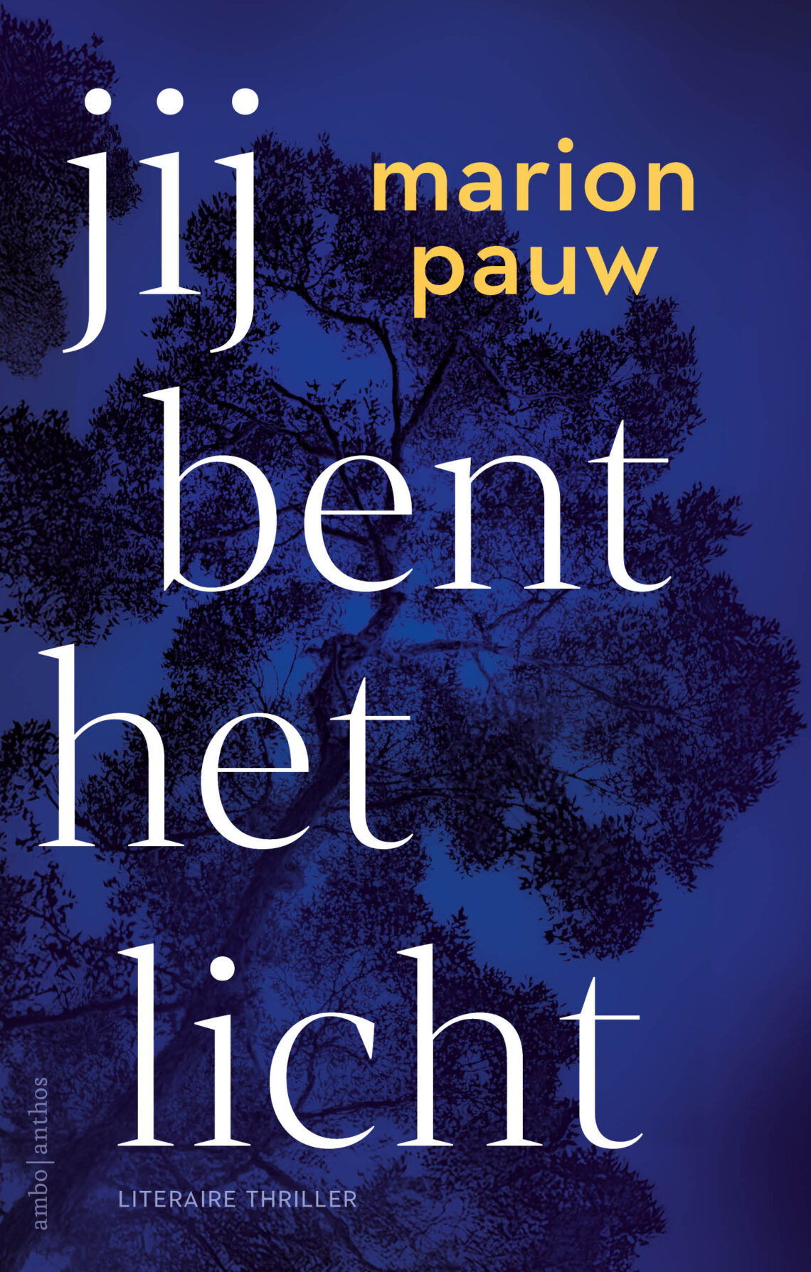 Omslag van Jij bent het licht
